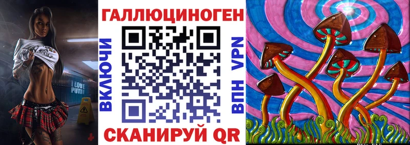 ссылка на мегу онион  как найти закладки  Терек  Галлюциногенные грибы прущие грибы 